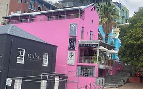 Man And Tree House - De Waterkant